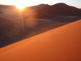 南部アフリカぐるーっとキャンプ旅　Day21；  アプリコット色した世界最古の砂漠に登った!　ナミビアその8